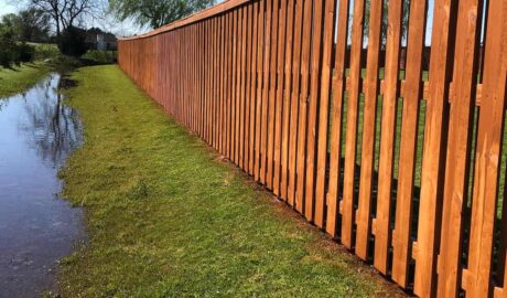 Fence painting Services Near Me